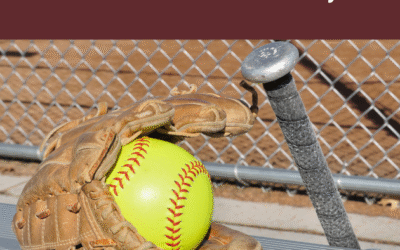 Portable Softball Batting Backstops | Key Features & Buying Guide