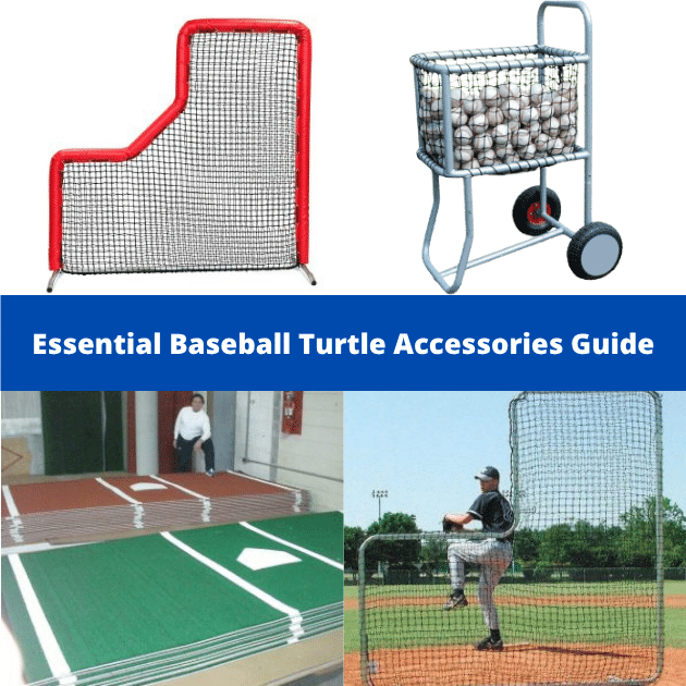 Essential Baseball Turtle Accessories Guide